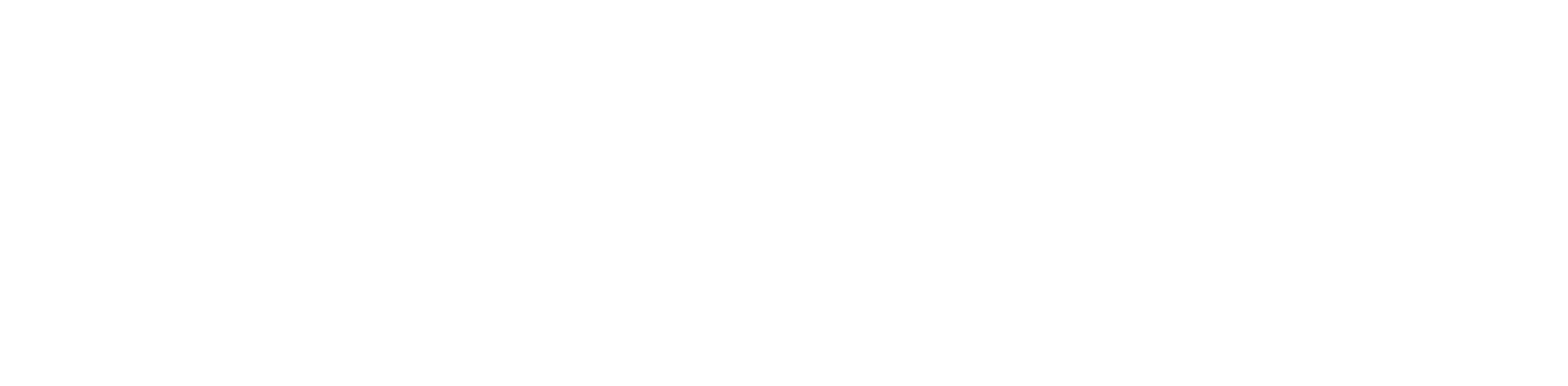 logo de website